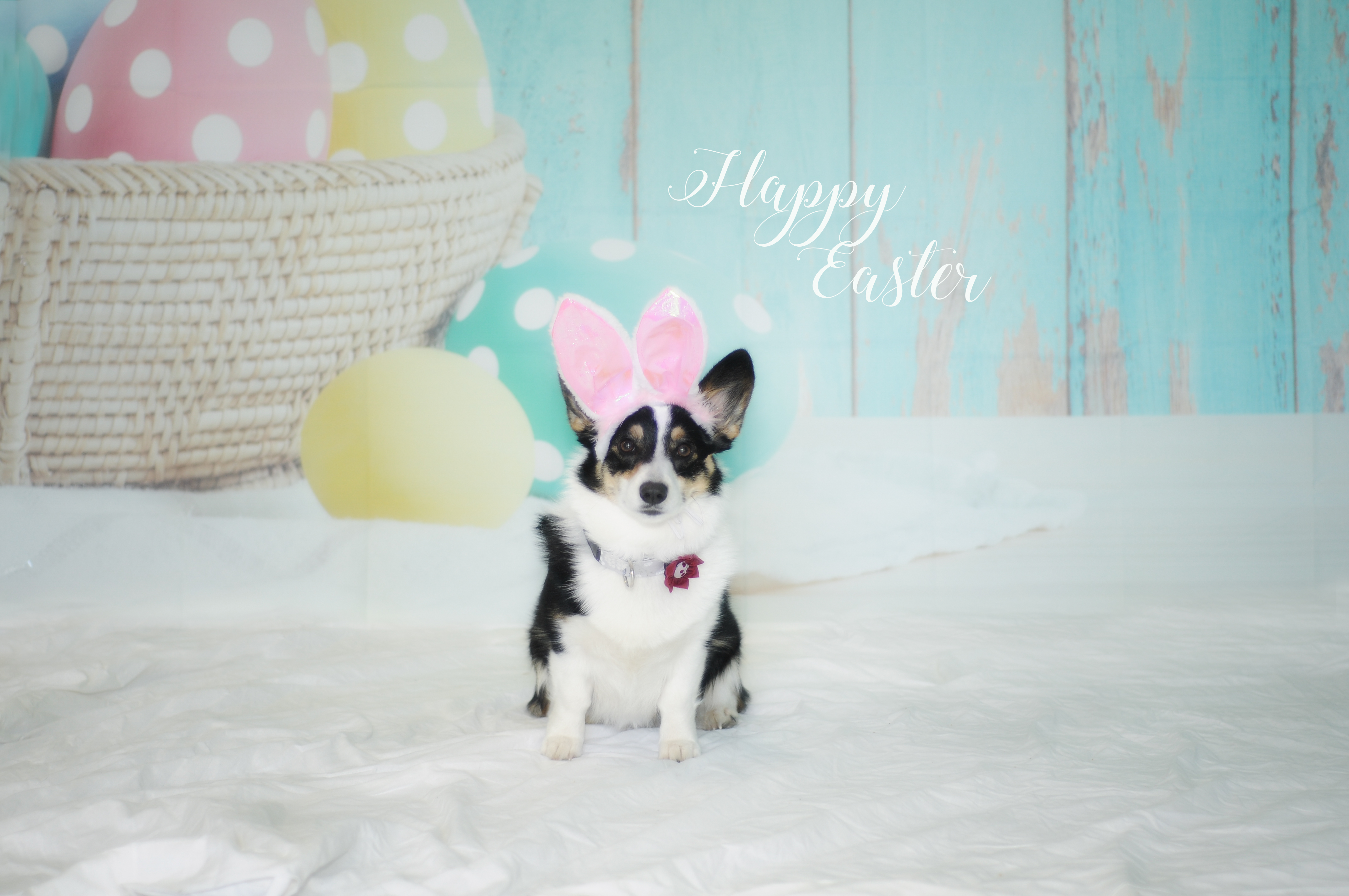 Easter2019-2