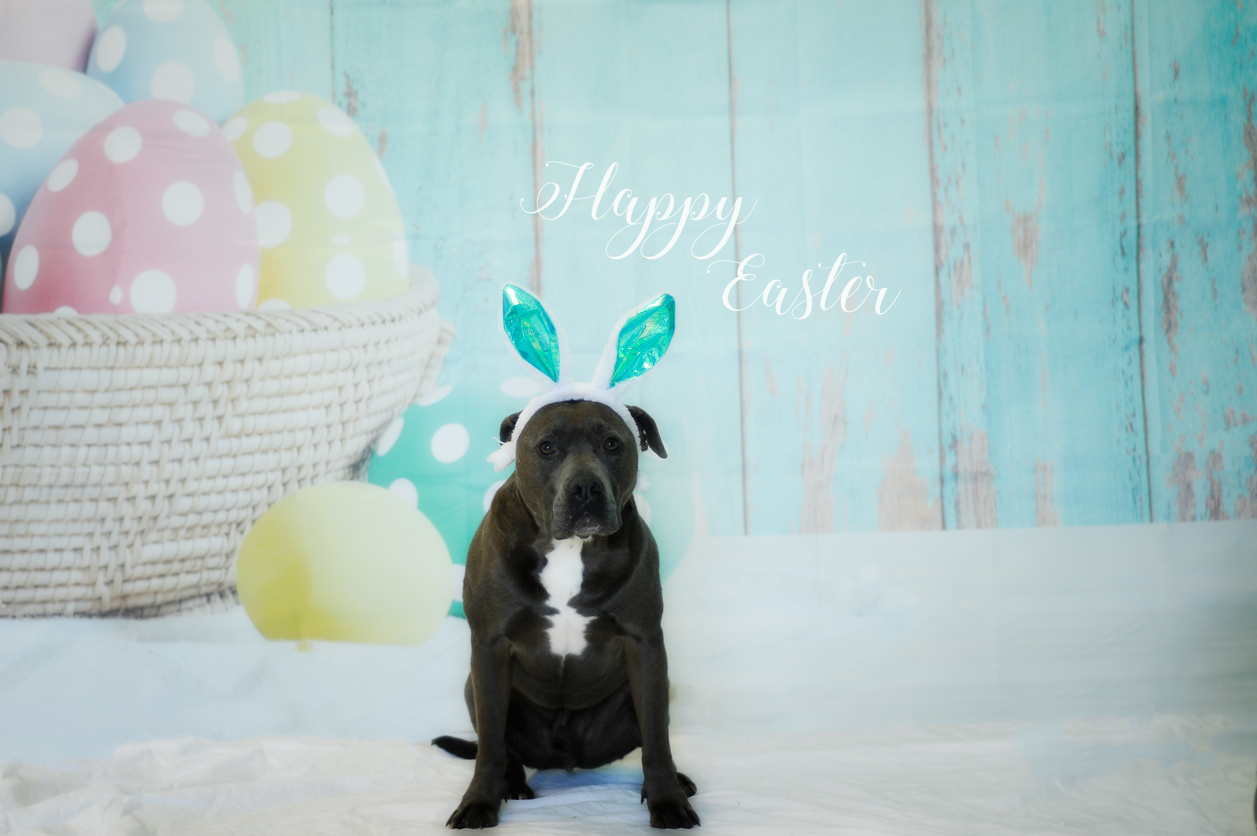 Easter2019-5