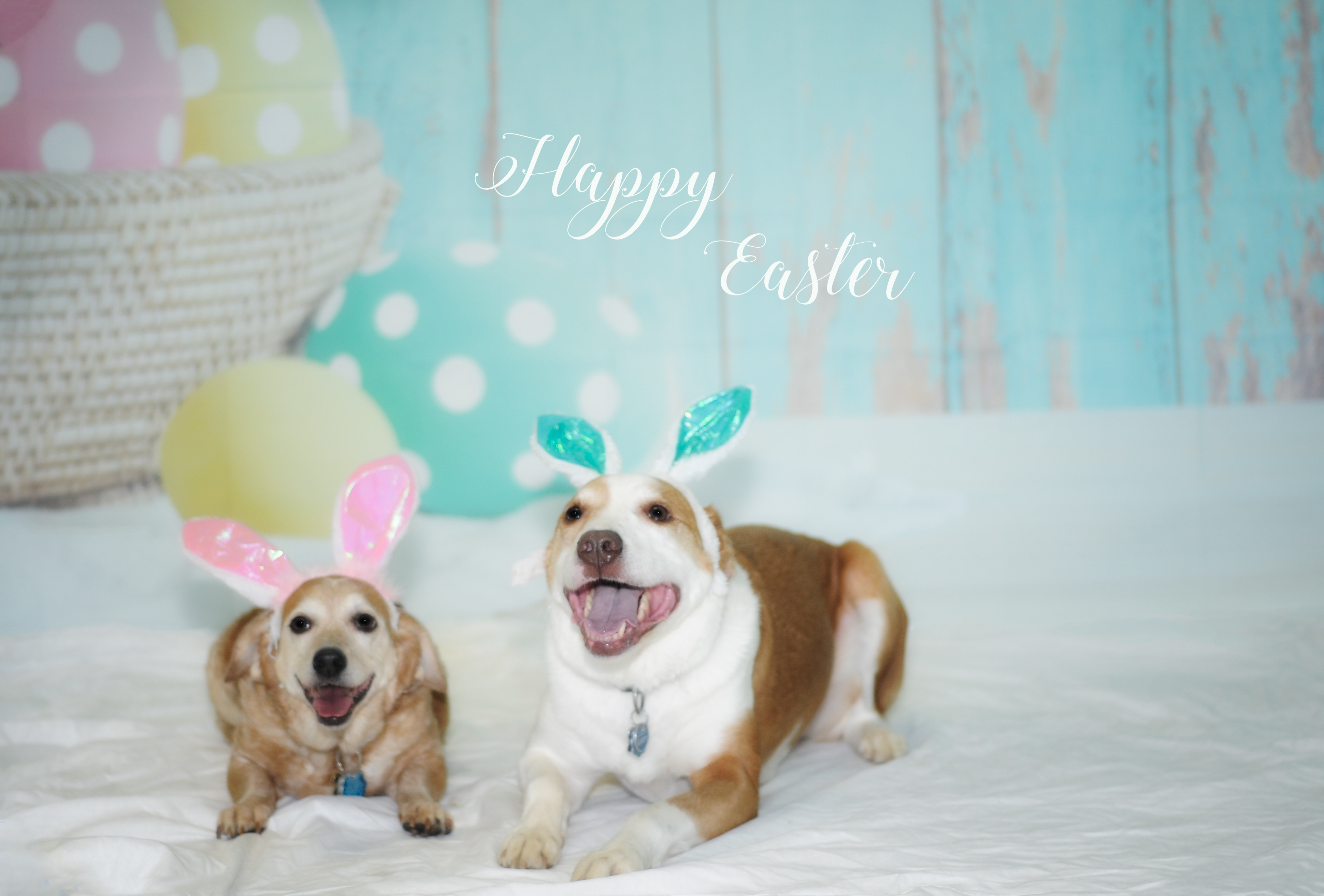 Easter2019-9