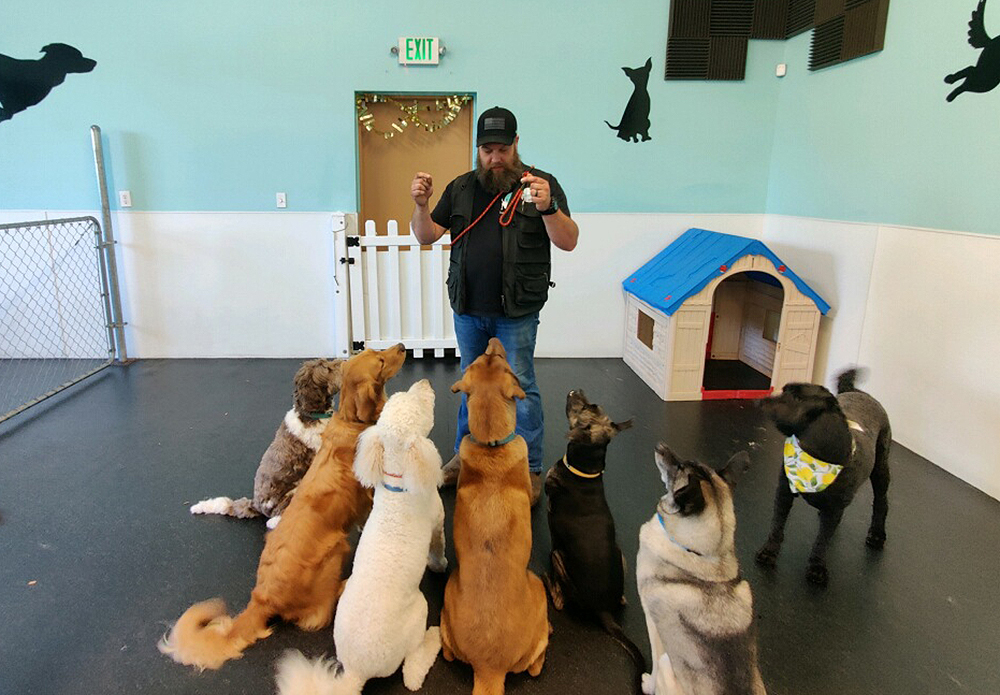 Josh_Dog Training K9 to Five Vancouver Washington_1